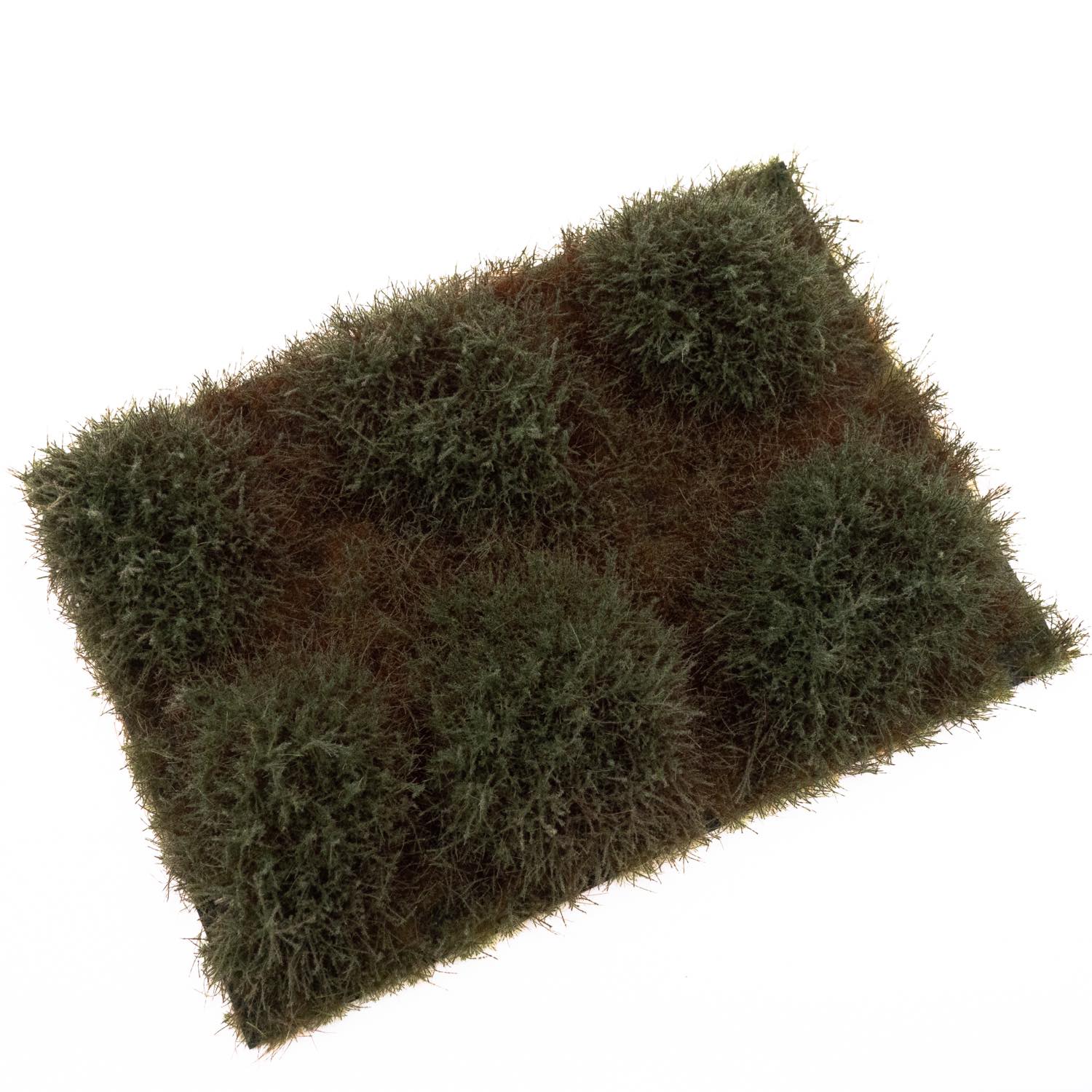 RTS Juniper shrubs dark green