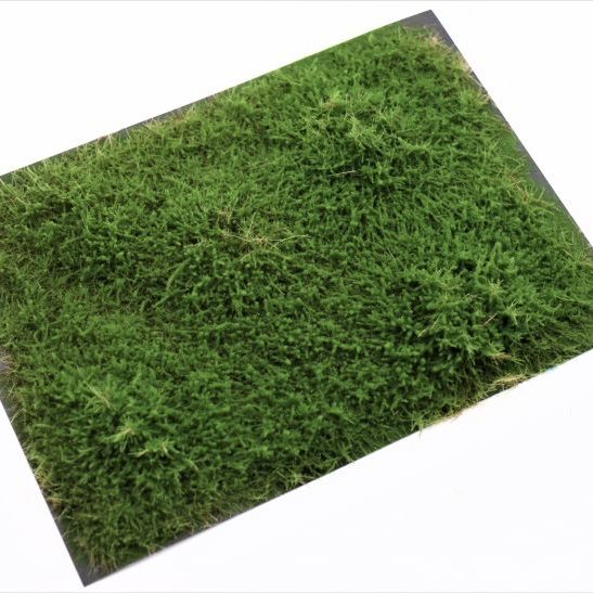 RTS 95500 Juniper bushes green