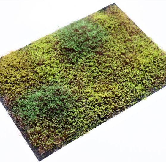 RTS Shrubs Spring