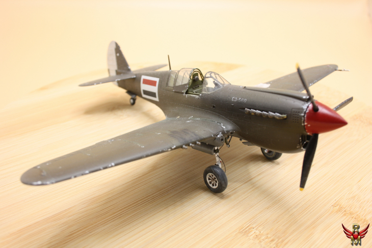 Rowasp Modelbouw Hasegawa 1/48 P-40N Warhawk Natural Metal 