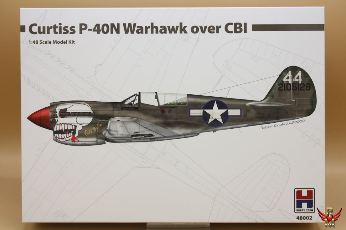 Hobby 2000 1/48 P-40N Warhawk over CBI