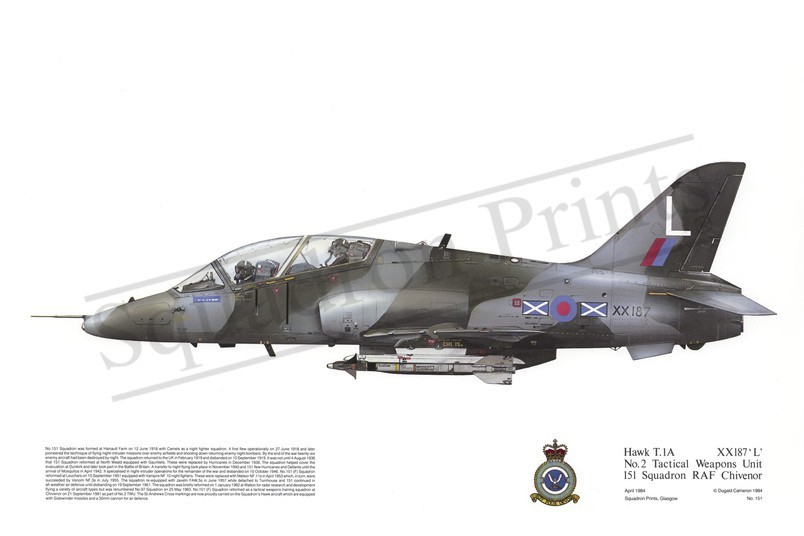 Squadron Prints Hawk T1A Great Britain