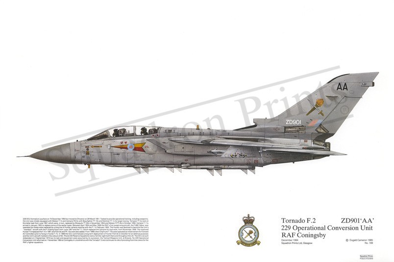 Squadron Prints Tornado F2 Great Britain