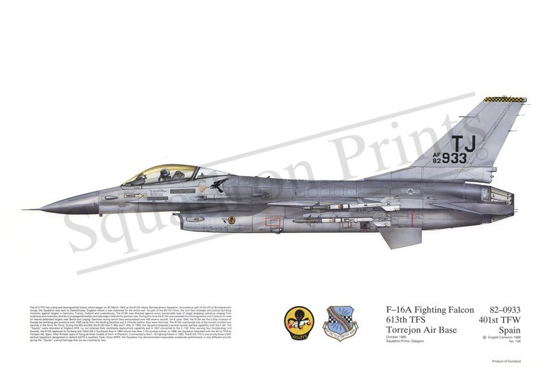 Squadron Prints F-16A Fighting Falcon USA