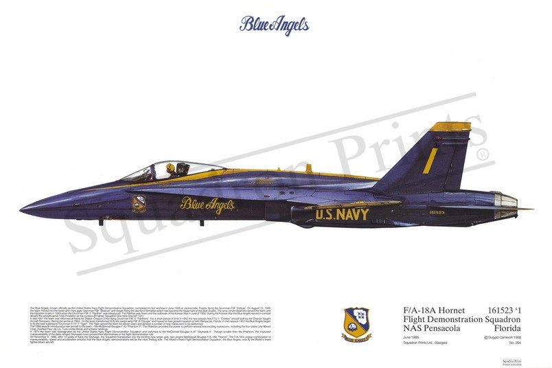 Squadron Prints F/A-18A Hornet USA