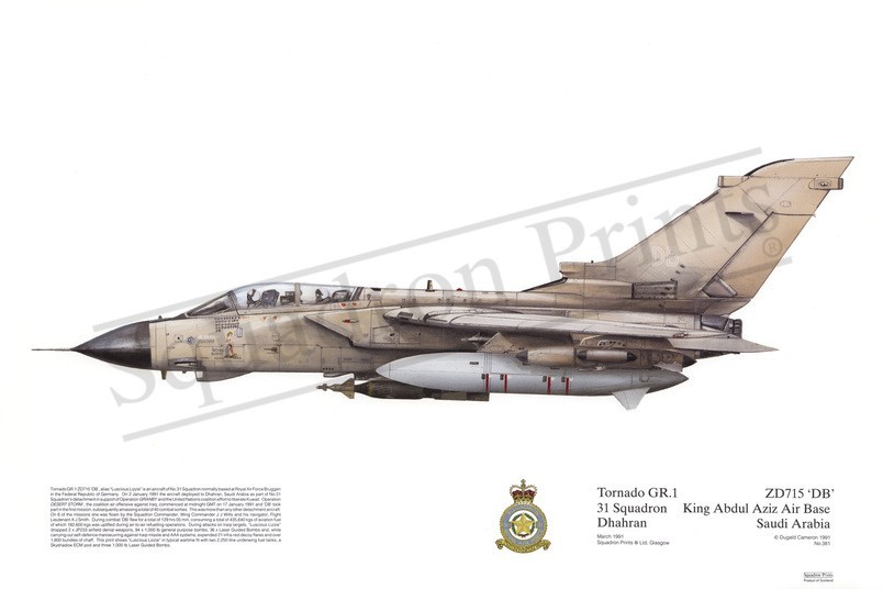 Squadron Prints Tornado GR1 Great Britain