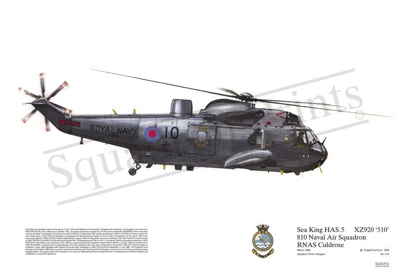 Squadron Prints Harrier GR3 Great Britain