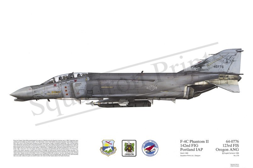 Squadron Prints F-4C Phantom II USA