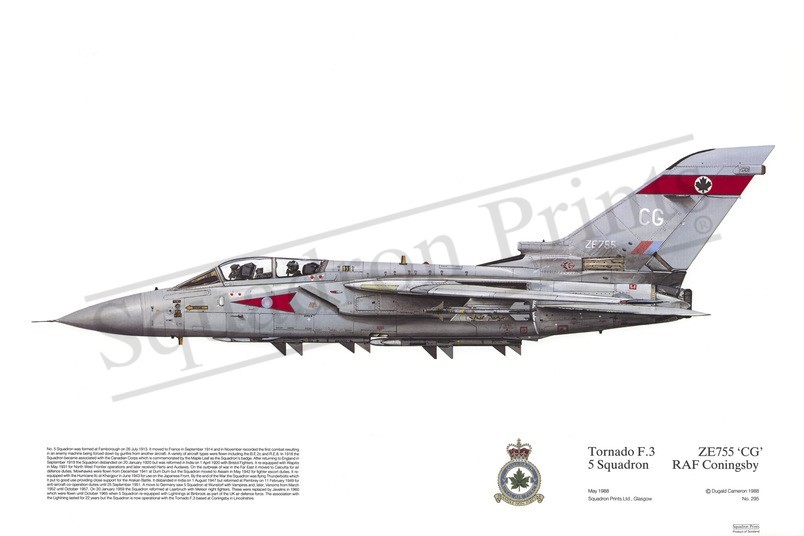 Squadron Prints Tornado F3 Great Britain