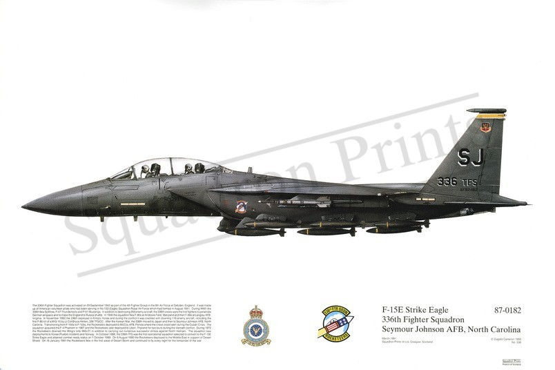 Squadron Prints F-15E Strike Eagle USA