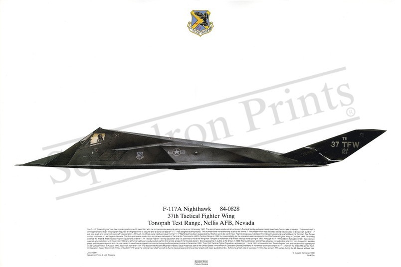 Squadron Prints F-117A Nighthawk USA