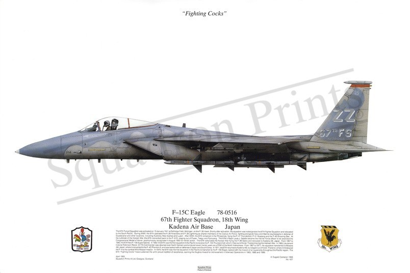 Squadron Prints F-15C Eagle USA