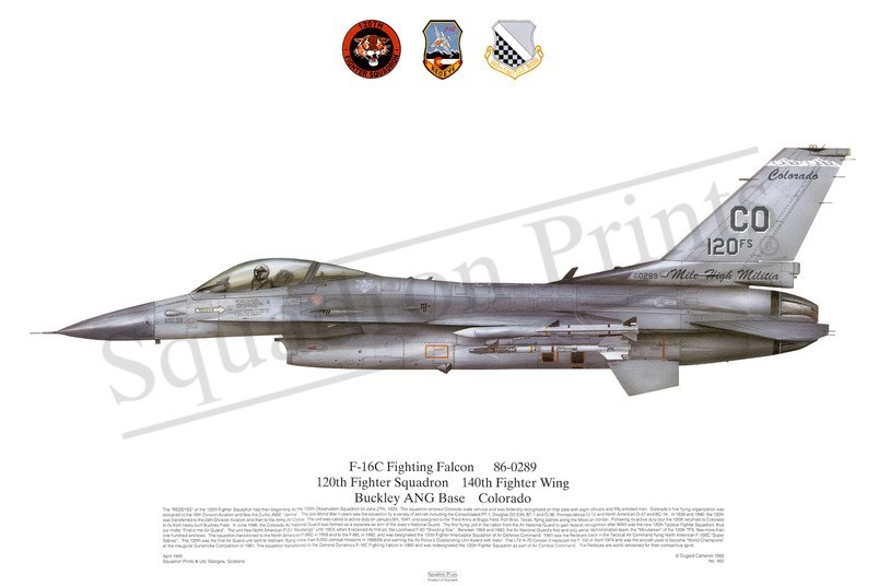 Squadron Prints F-16C Fighting Falcon USA