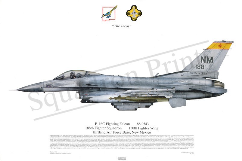 Squadron Prints F-16C Fighting Falcon USA
