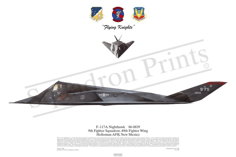 Squadron Prints F-117A Nighthawk USA