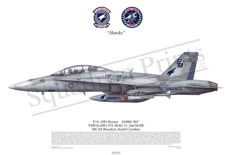 Squadron Prints F/A-18D Hornet USA