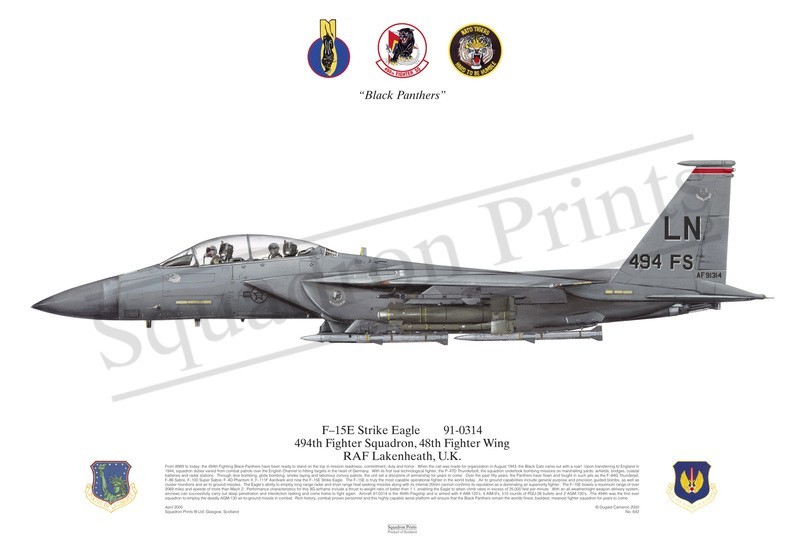 Squadron Prints F-15E Strike Eagle USA