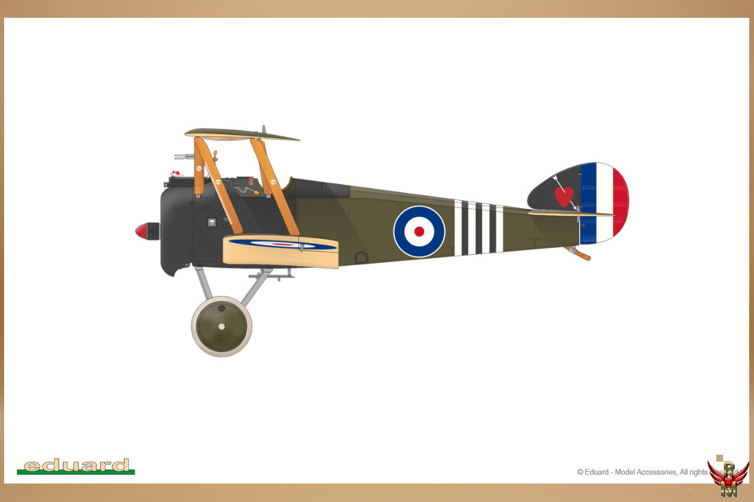 Eduard 1/48 Sopwith F 1 Camel (Clerget) ProfiPack