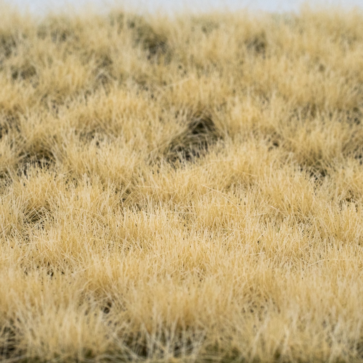 RTS 82163 Plukjes droog gras