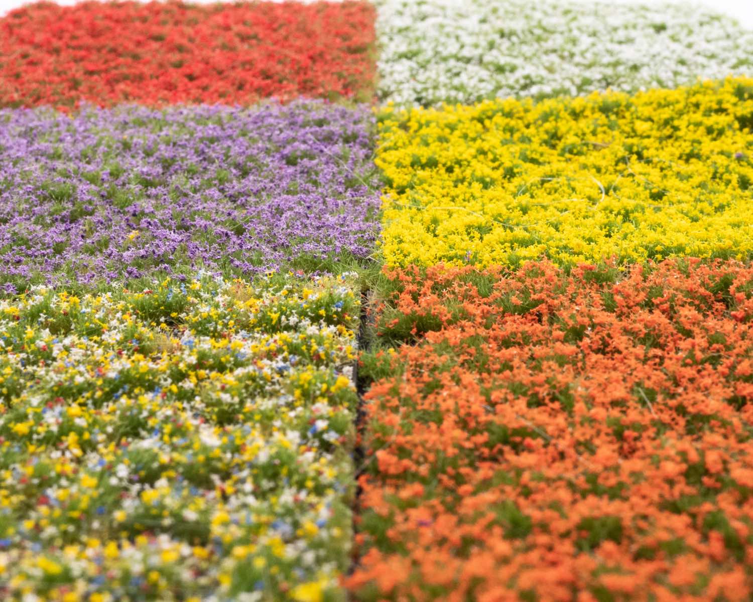 RTS 84904 Bloemencluster set