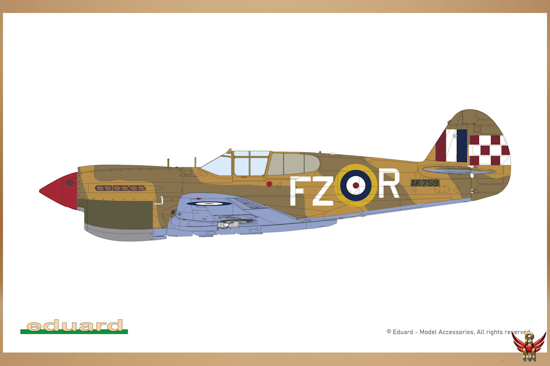 Eduard 1/48 Kittyhawk Dual Combo Limited Edition