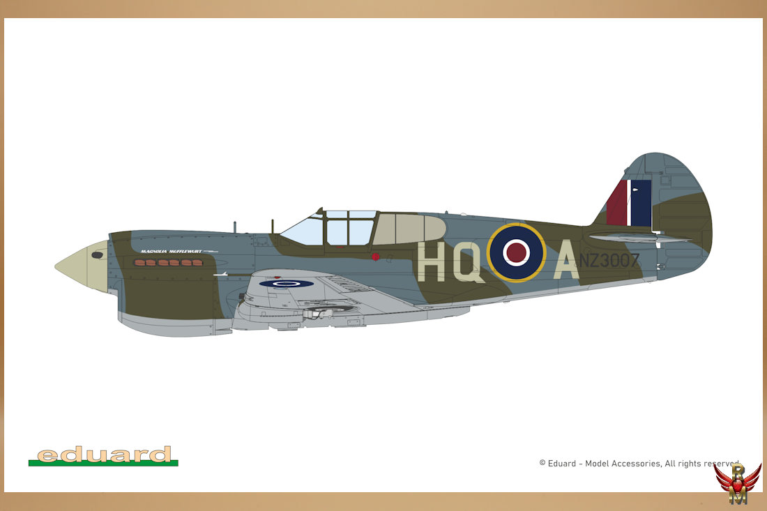 Eduard 1/48 Kittyhawk Dual Combo Limited Edition
