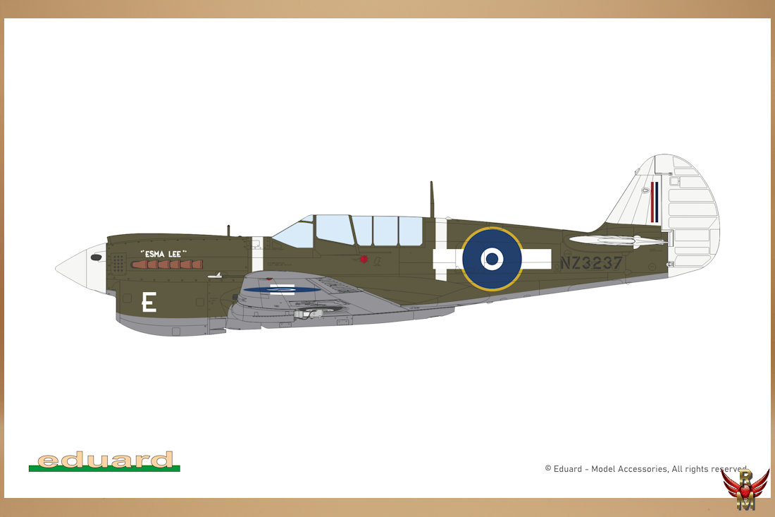 Eduard 1/48 Kittyhawk Dual Combo Limited Edition