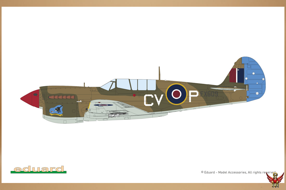 Eduard 1/48 Kittyhawk Dual Combo Limited Edition