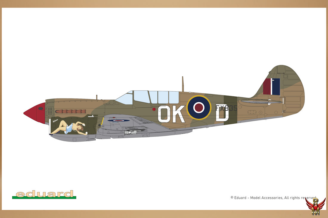 Eduard 1/48 Kittyhawk Dual Combo Limited Edition